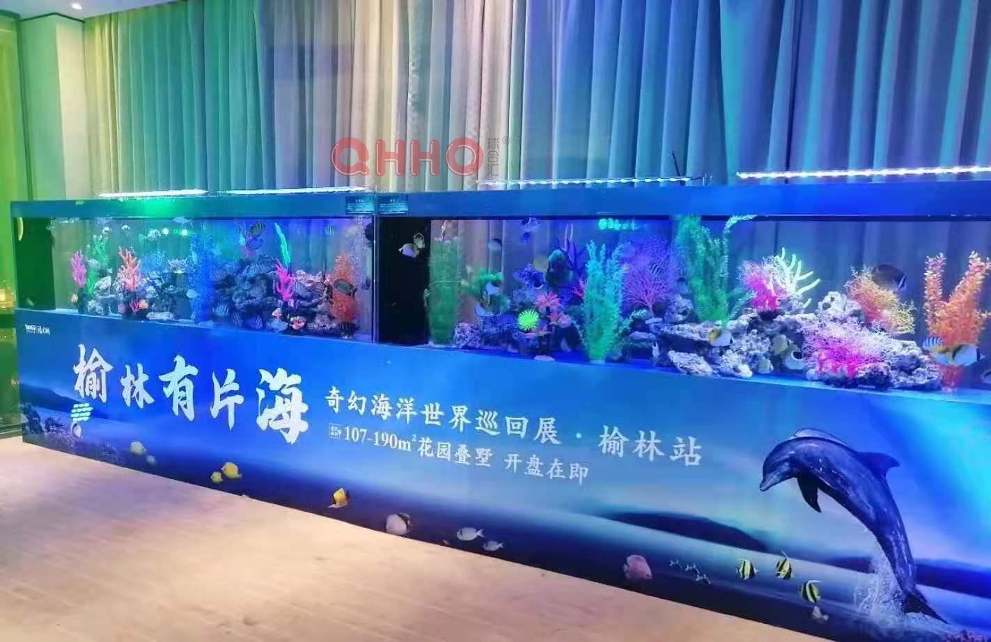 广元海洋生物展活动方案 海洋展 深受客户好评