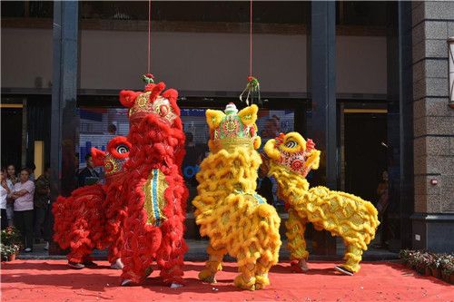 江海开业舞狮， 江海江海舞狮队，江海舞狮表演流程 ，江海舞狮醒狮团队